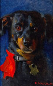 Mauch-The Red Bow, 1899
