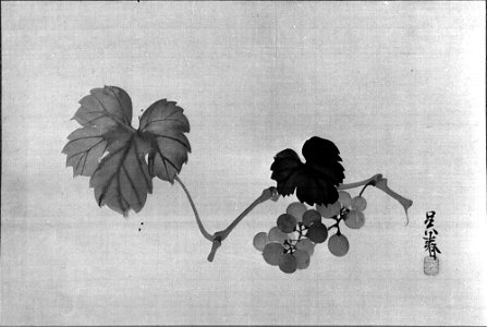 Matsumura Goshun - Grapevine - 36.100.20 - Metropolitan Museum of Art