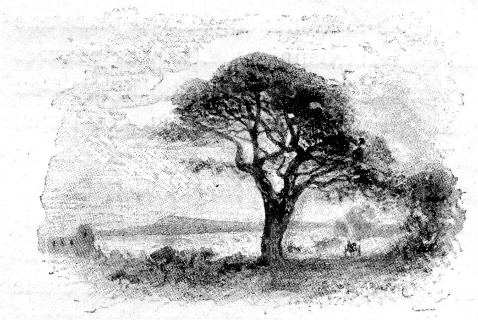 Maupassant - Sur l’Eau - 1888 - dessin de Riou, p 205