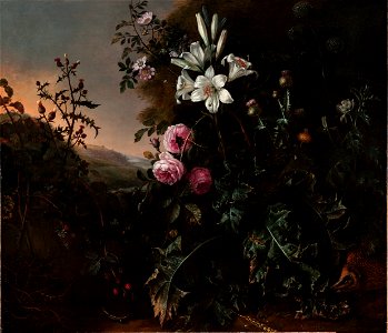 Matthias Withoos - Still Life - 80.18 - Indianapolis Museum of Art