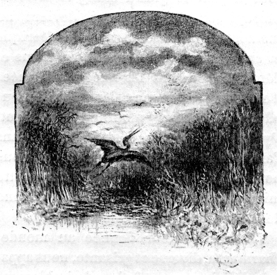 Maupassant - Sur l’Eau - 1888 - dessin de Riou, p 161