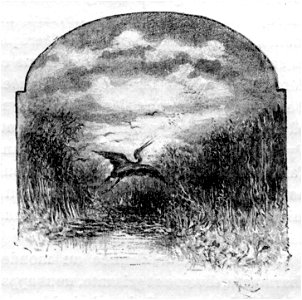 Maupassant - Sur l’Eau - 1888 - dessin de Riou, p 161