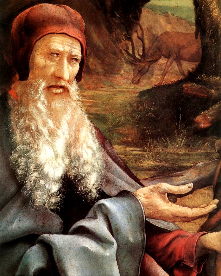 Matthias Grünewald - St Anthony (detail) - WGA10760
