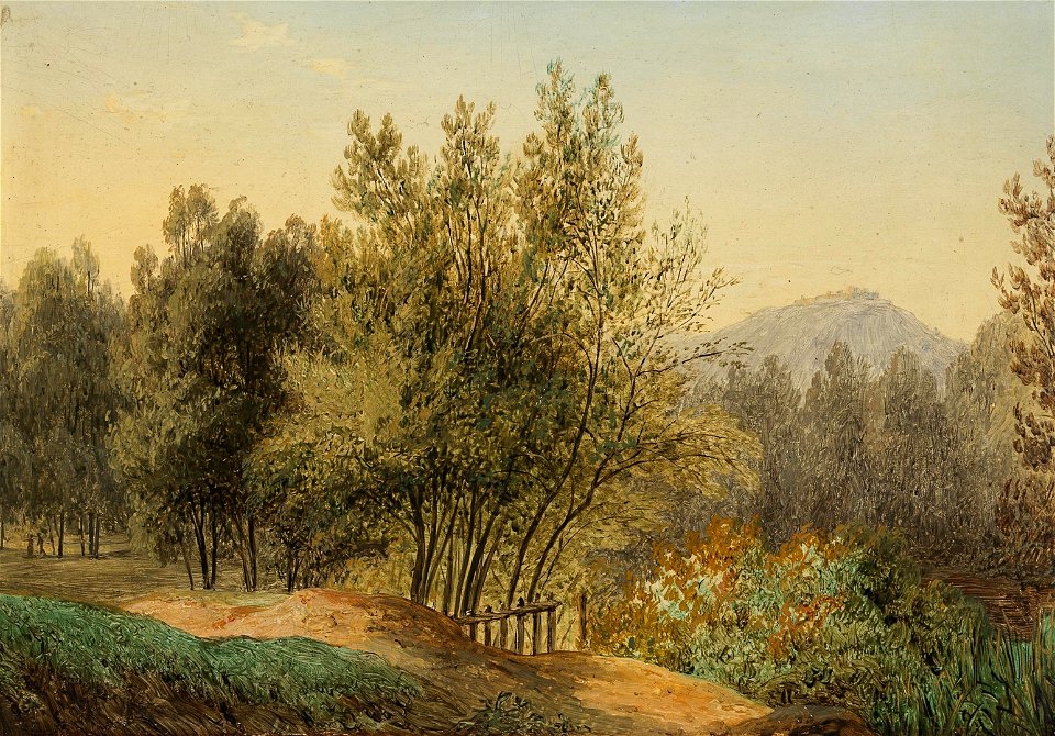 Matthias Rudolph Toma - Landscape