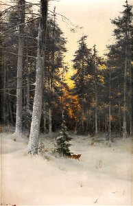Mauritz Lindström- Rav i vinterlandskap