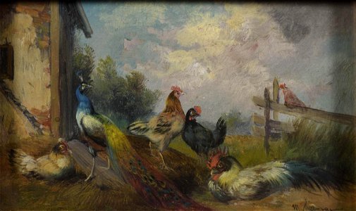 Max Hänger Hühner und Pfau