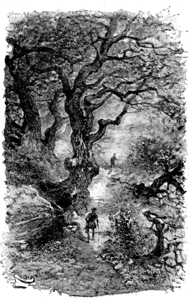 Maupassant - Sur l’Eau - 1888 - dessin de Riou, p 217
