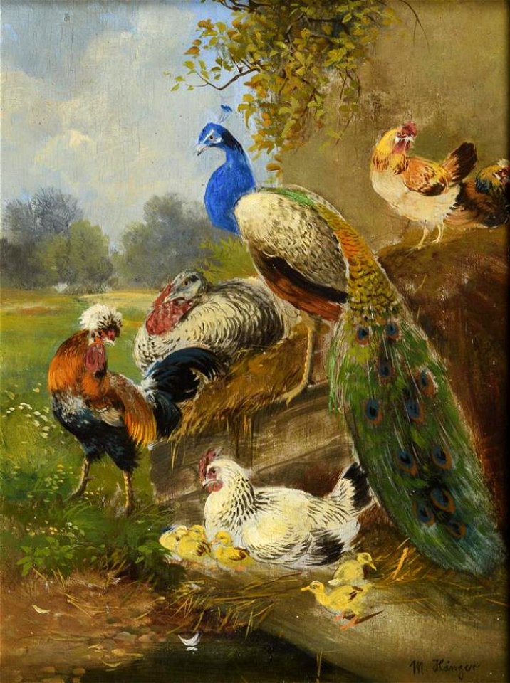Max Hänger Hühnerhof mit Pfau