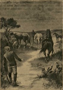 MAY, Karl - Syn lovce medvědův (page 195 crop)