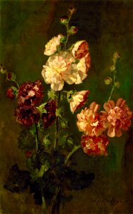Max Weyl - Hollyhocks - 1982.123 - Smithsonian American Art Museum. Free illustration for personal and commercial use.