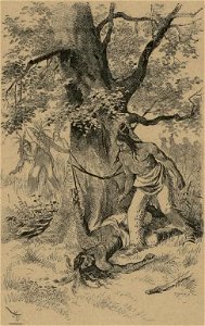 MAY, Karl - Syn lovce medvědův (page 180 crop)