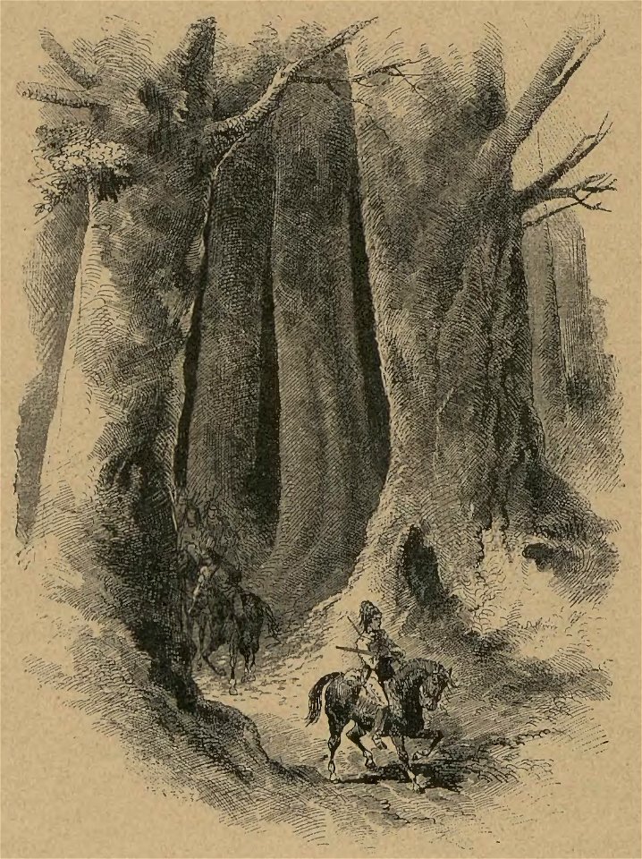 MAY, Karl - Syn lovce medvědův (page 250 crop)