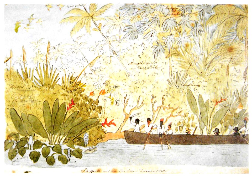 Maximilian zu Wied-Neuwied Schifffahrt Rio Doce 1815