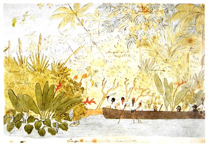 Maximilian zu Wied-Neuwied Schifffahrt Rio Doce 1815