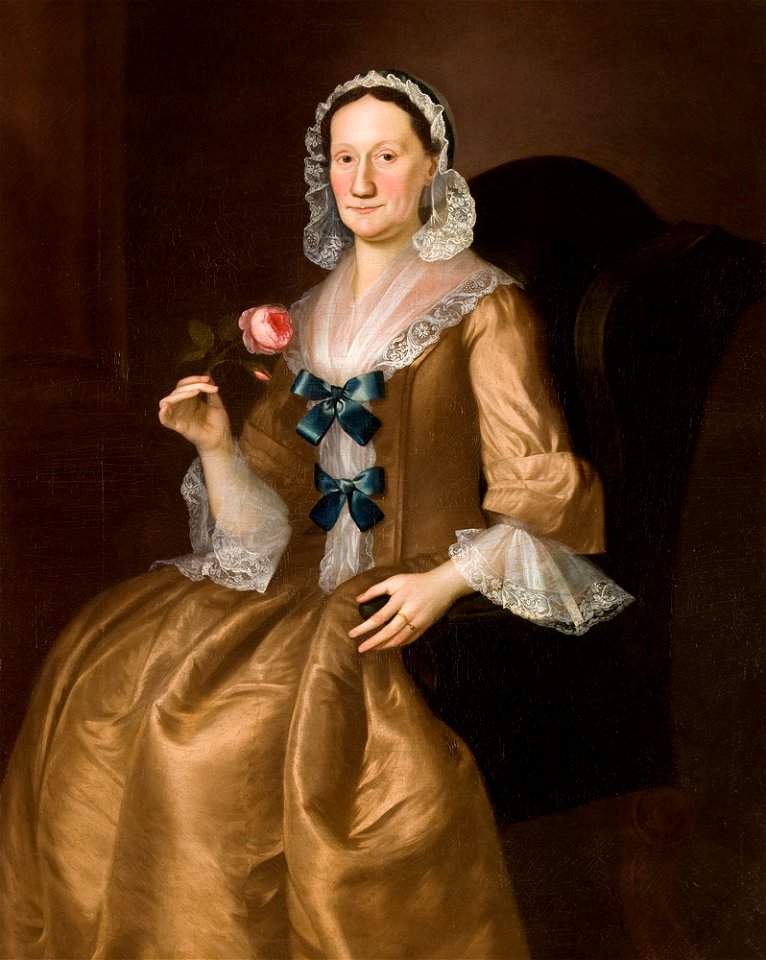 Mrs John Brown (Jane Lucas) 1754 by Joseph Blackburn