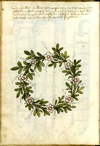 Ms.Thott.290.2º 028v