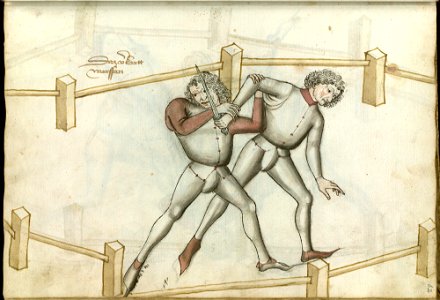 Ms.Thott.290.2º 062r