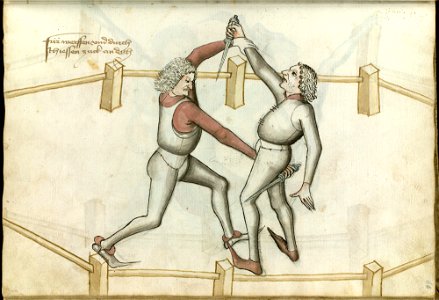 Ms.Thott.290.2º 066r