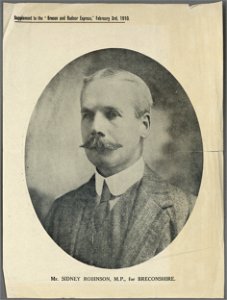 Mr. Sidney Robinson, M.P., for Breconshire (5449773)