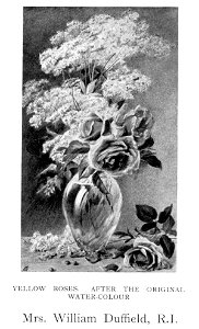 Mrs. William Duffield, R.I. - Yellow Roses in a Vase