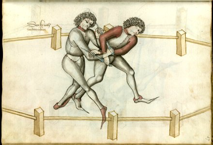 Ms.Thott.290.2º 067r