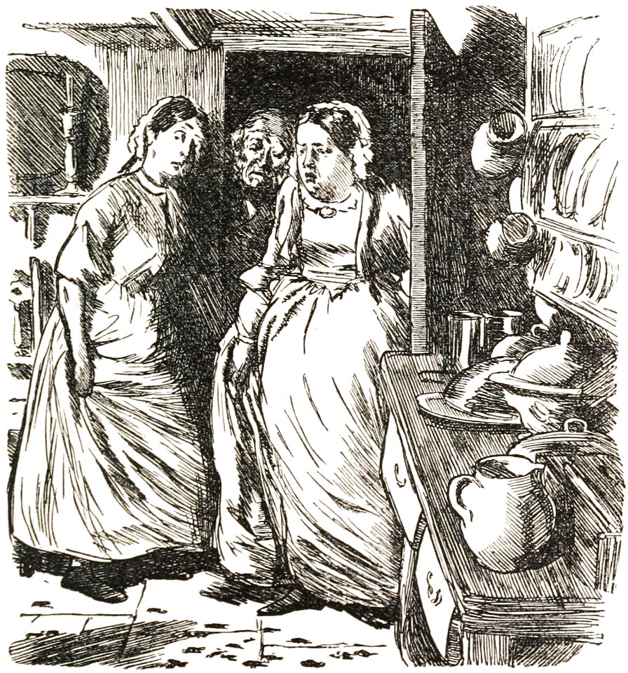 Mrs. Caudle visits the kitchen—'Millions of black-beetles!'