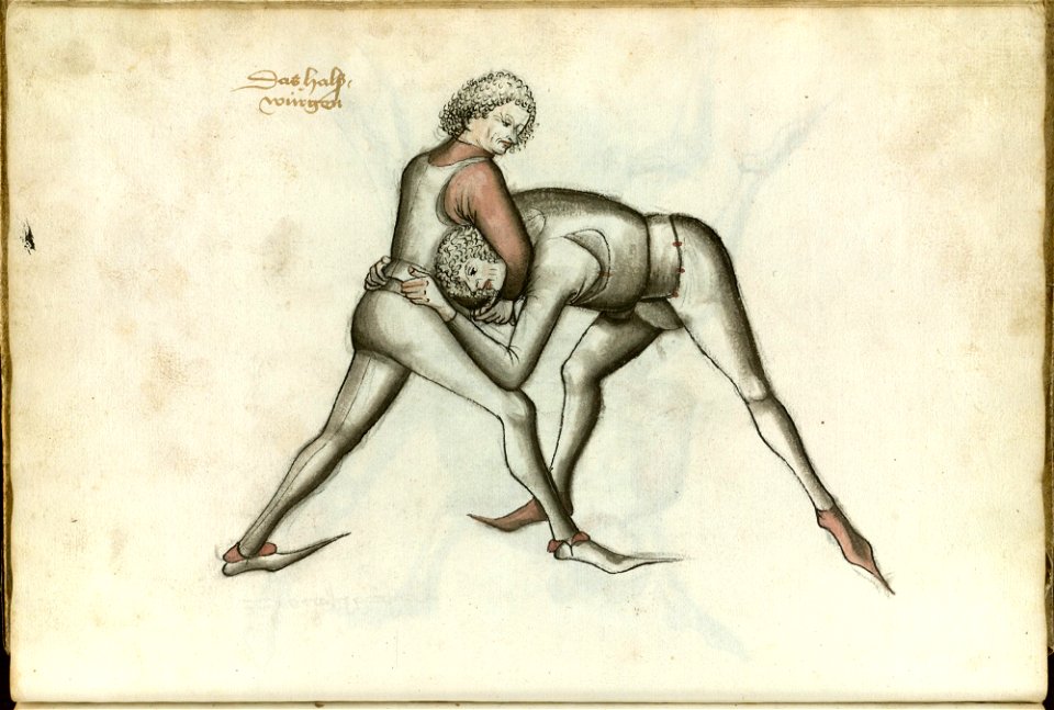 Ms.Thott.290.2º 056v