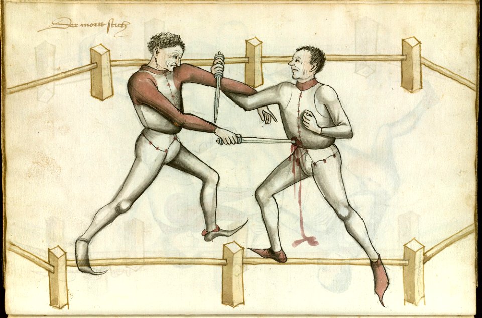 Ms.Thott.290.2º 070v