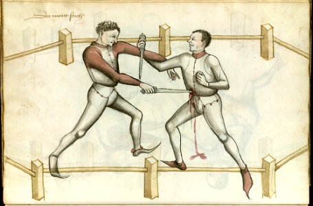 Ms.Thott.290.2º 070v