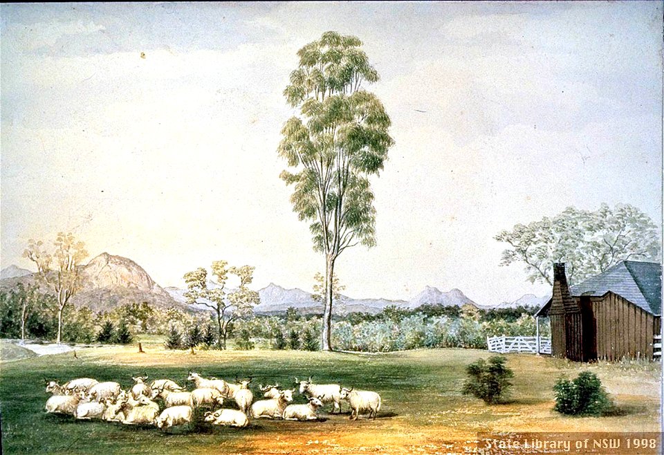 Mugarah near Cunningham's gap, 1853, watercolour by James Gay Sawkins
