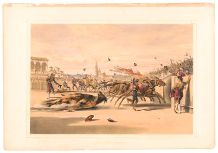 Mules dragging out the bull LCCN2003677501