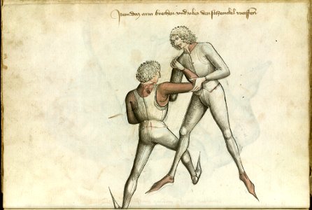 Ms.Thott.290.2º 049v