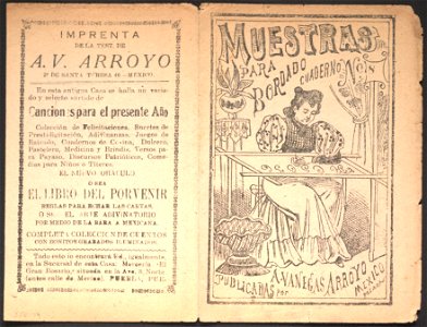 Muestras para bordado, cuaderno no. 8 LCCN99615930