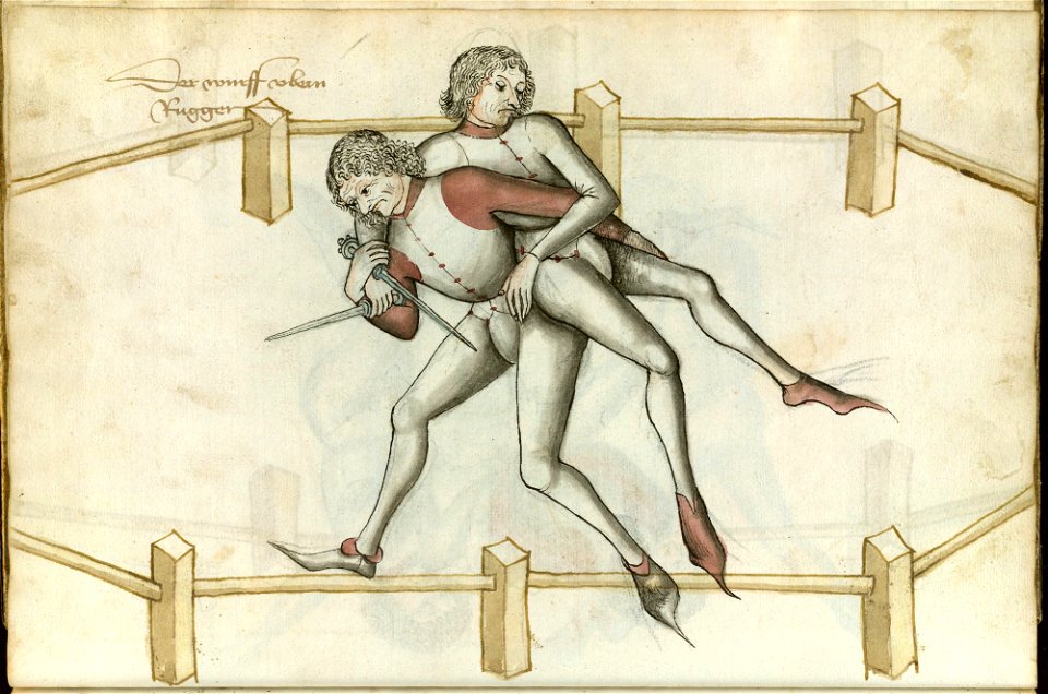 Ms.Thott.290.2º 067v