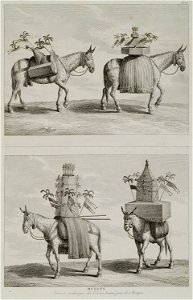 Mulets decorés et chargés du trésor destiné pour la Mecque - D'ohsson Mouradgea - 1790
