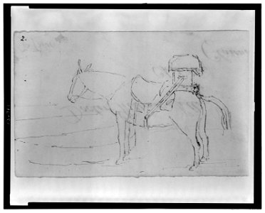 Mule loaded with large pack LCCN2006685090