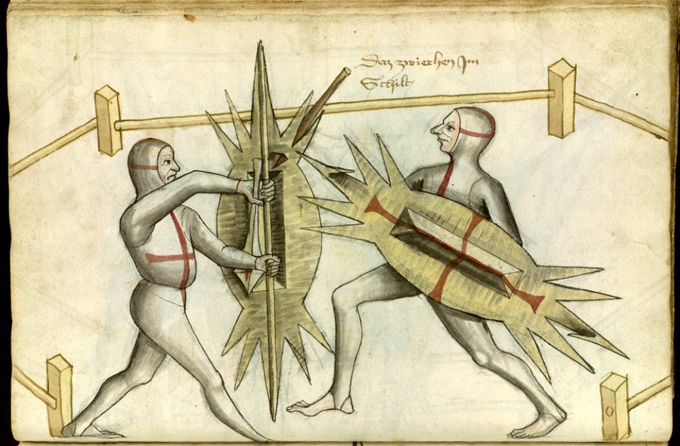 Ms.Thott.290.2º 100v