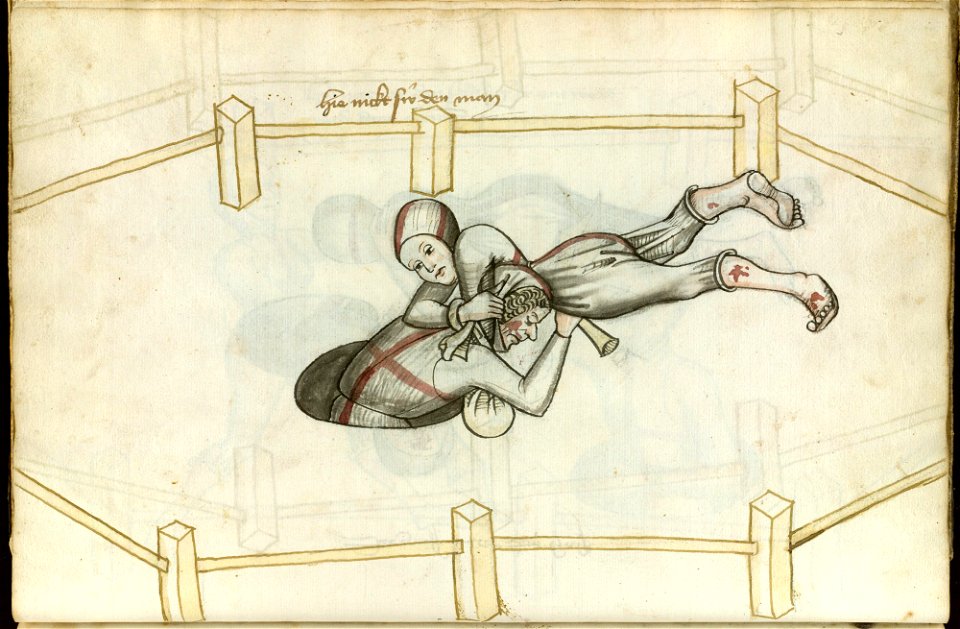 Ms.Thott.290.2º 081v