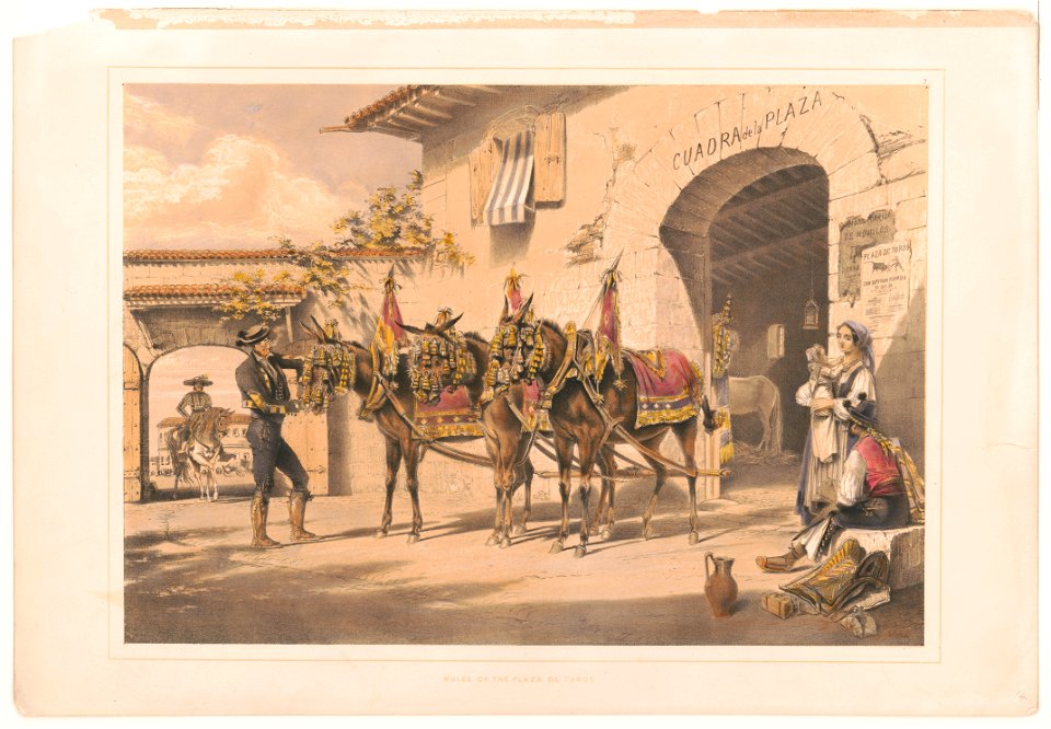 Mules of the Plaza de Toros LCCN99404263