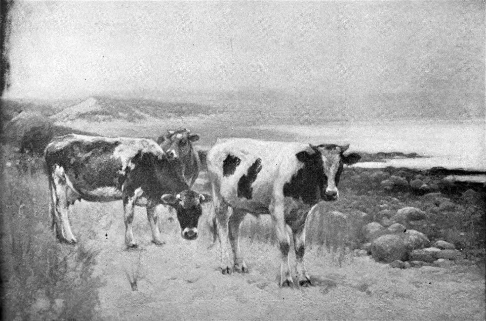 McIlhenny On The Beach p.196