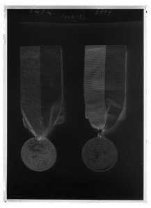Medalj För Tapperhet i fält - Livrustkammaren - 555-negative