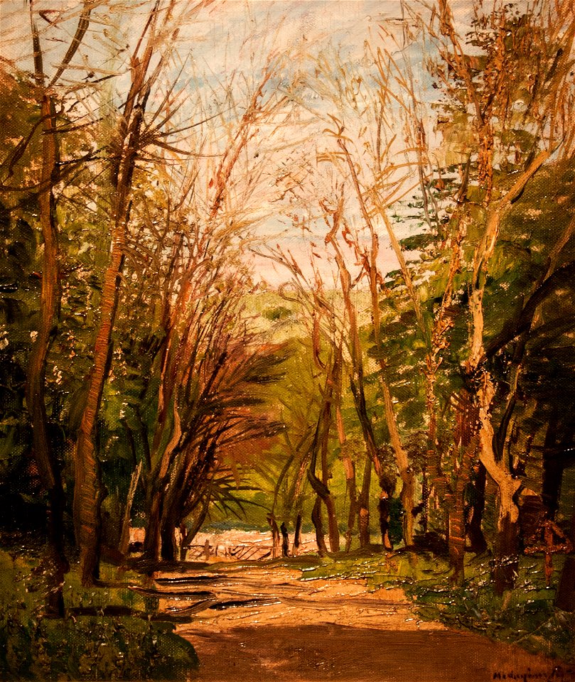 Mednyánszky - Forest Road