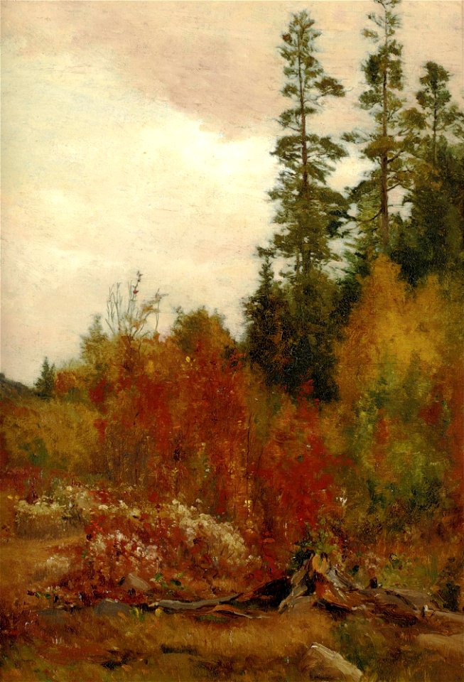 Jervis McEntee - Study near Schulls