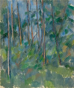 MB-Cez-01 Cezanne Unterholz 1