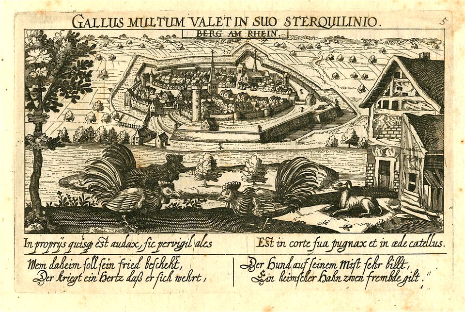 Meisner Berg am Rhein Gallus militum valet in suo sterquillinio