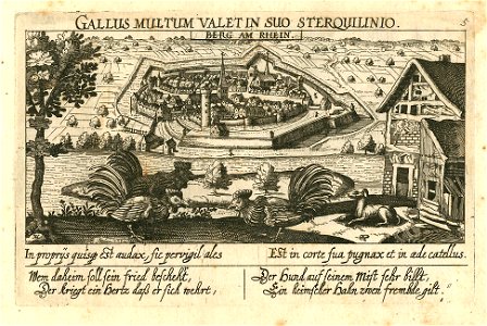 Meisner Berg am Rhein Gallus militum valet in suo sterquillinio