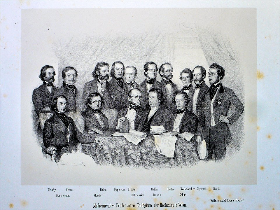 Medizinisches Professorenkollegium der Universität Wien Litho