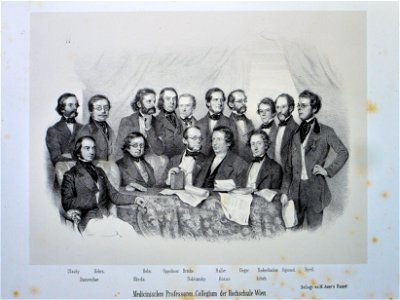 Medizinisches Professorenkollegium der Universität Wien Litho