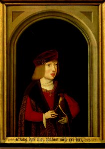 Meister der Magdalenenlegende (^), , Kunsthistorisches Museum Wien, Kunstkammer Wien - Kaiser Karl V. (1500-1558) als Siebenjähriger mit einem Jagdfalken, Halbfigurenbild - GG 4430 - Kunsthistorisches Museum