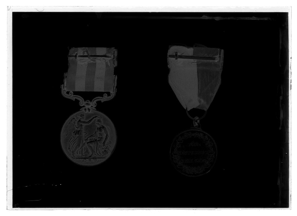 Medaljer - Livrustkammaren - 69841-negative